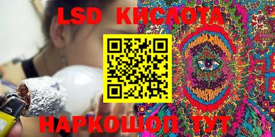 гидропоника Гусев