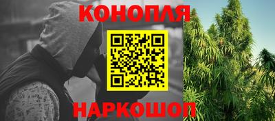 гидропоника Гусев