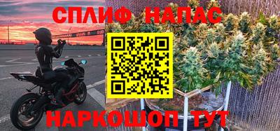 Альфа ПВП Гусиноозёрск