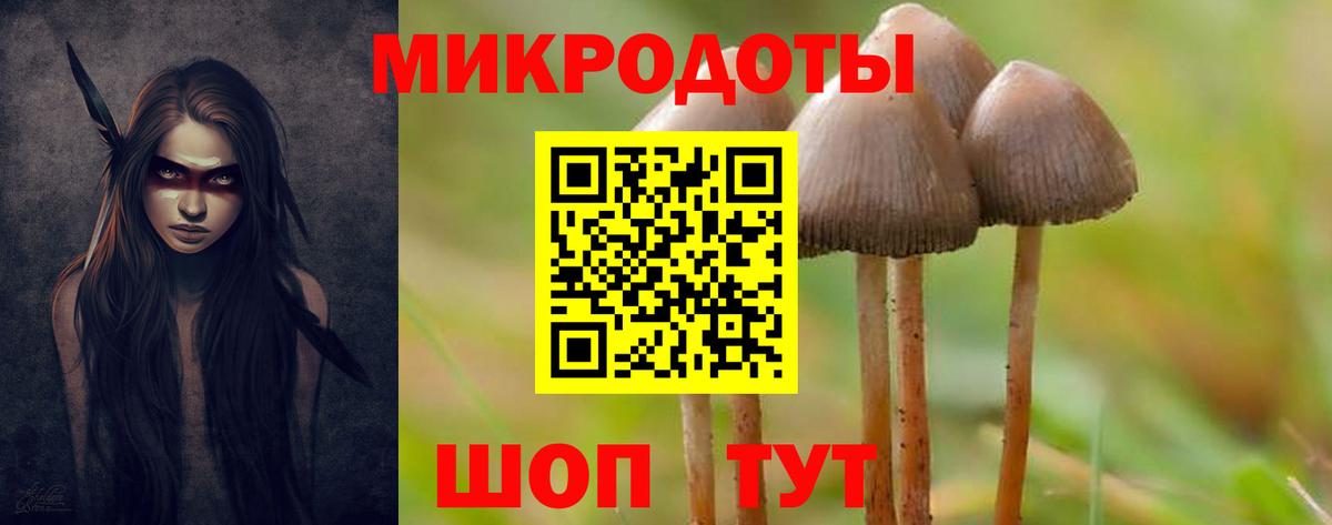 Йошкар-Ола  Псилоцибиновые грибы Psilocybine cubensis  Вход с VPN 